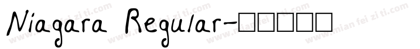 Niagara Regular字体转换
